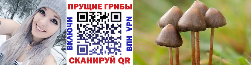 Галлюциногенные грибы ЛСД Чайковский