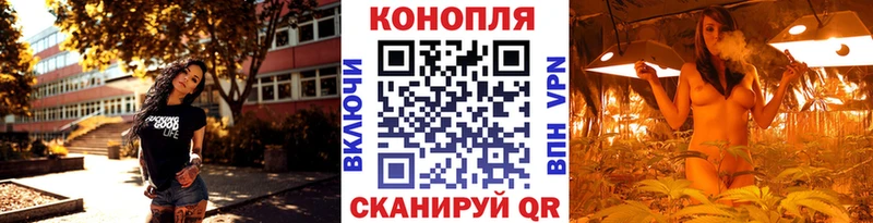 Конопля SATIVA & INDICA  где купить наркоту  Чайковский 